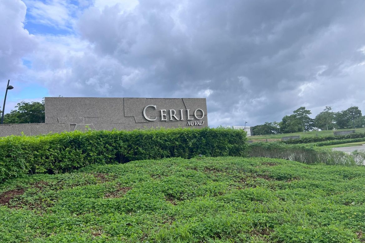 Land for Sale in Canlubang, Calamba, Laguna – photo 3