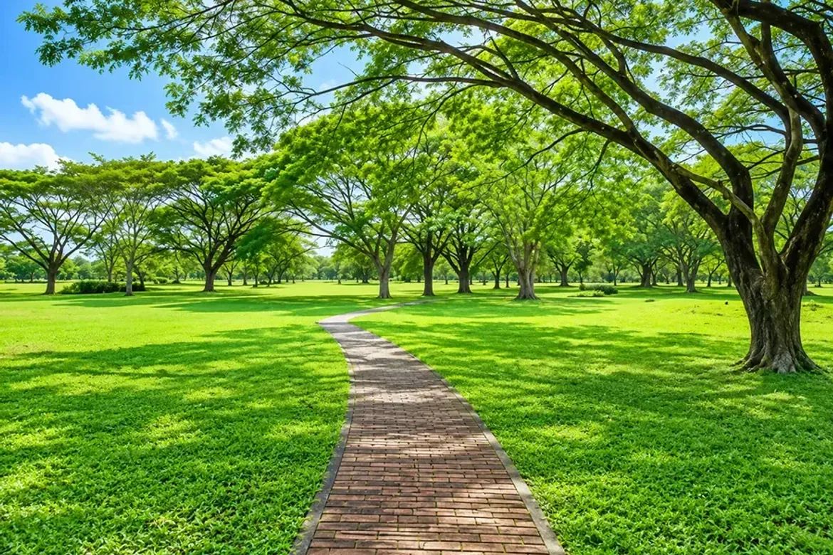 Land for Sale in Canlubang, Calamba, Laguna – photo 2