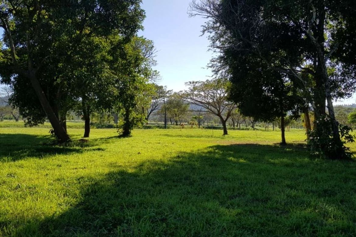 Land for Sale in Canlubang, Calamba, Laguna – photo 2