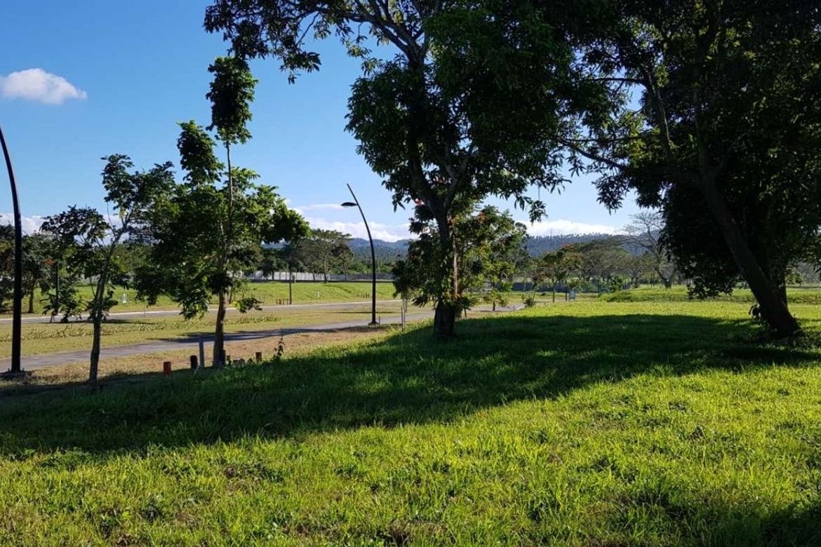 Land for Sale in Canlubang, Calamba, Laguna – photo 5