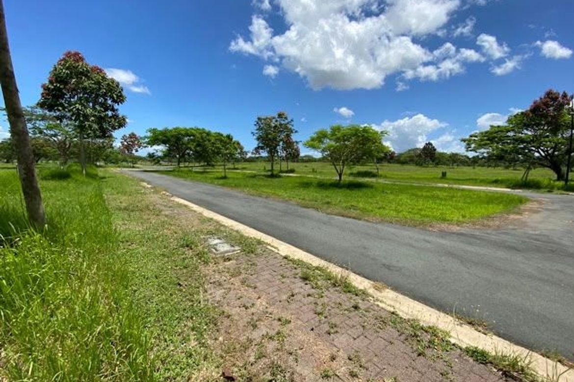 Land for Sale in Canlubang, Calamba, Laguna – photo 2