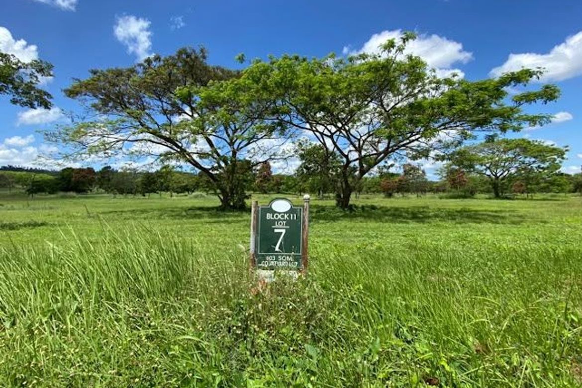 Land for Sale in Canlubang, Calamba, Laguna – photo 3