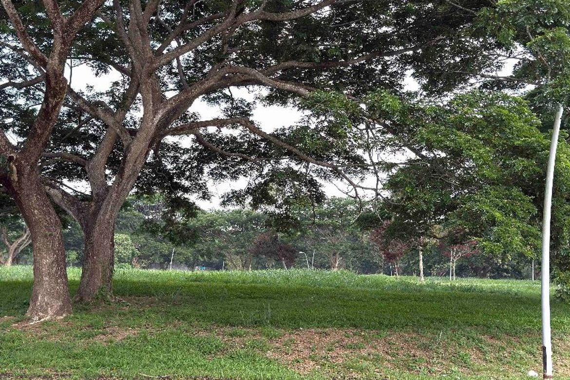 Land for Sale in Canlubang, Calamba, Laguna – photo 2