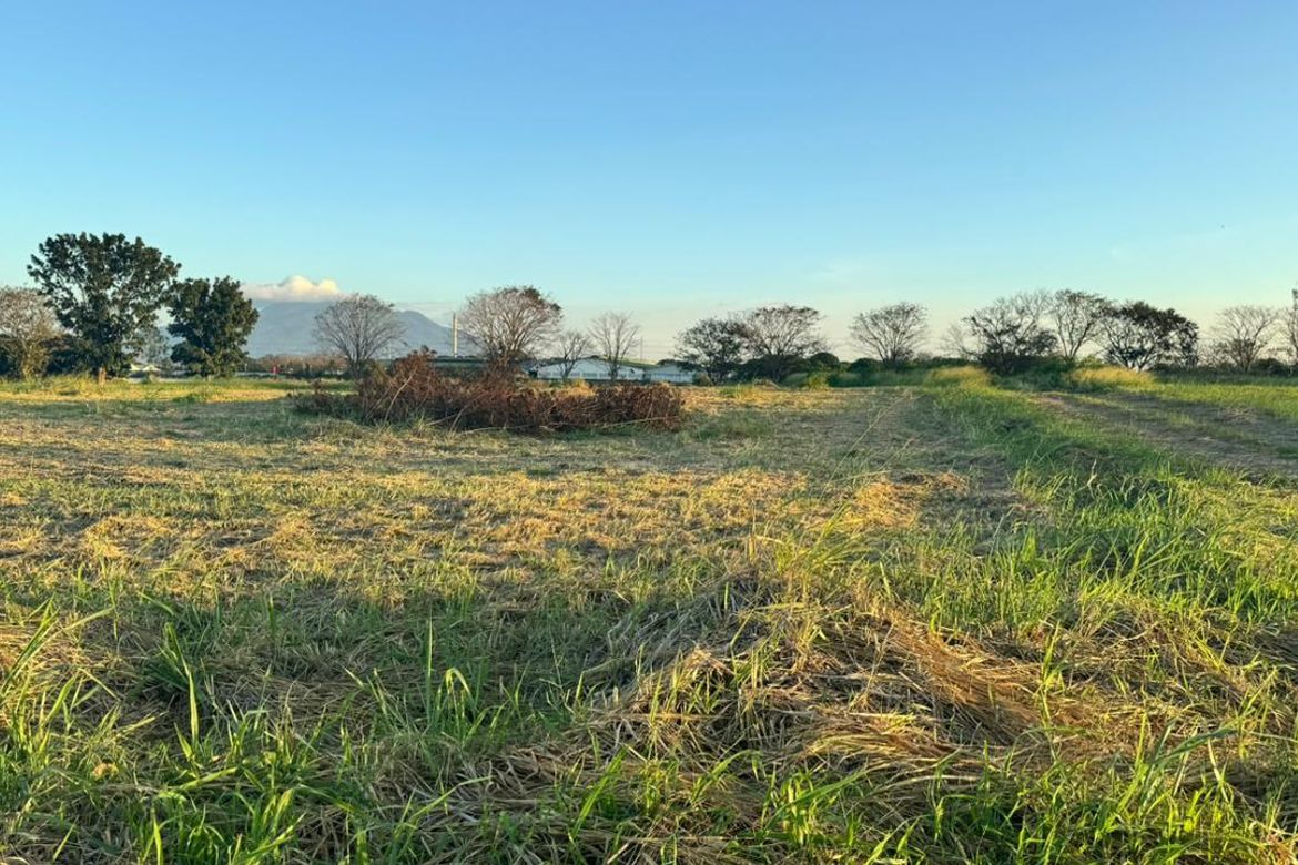 Land for Sale in Canlubang, Calamba, Laguna