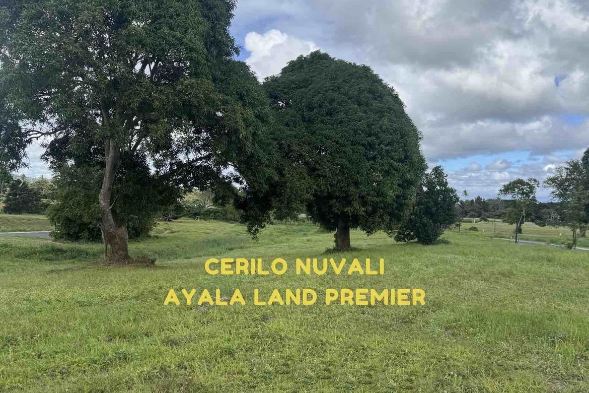 Land for Sale in Canlubang, Calamba, Laguna – photo 7