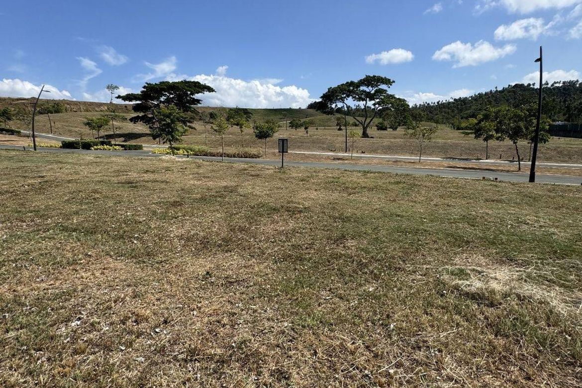 Land for Sale in Canlubang, Calamba, Laguna