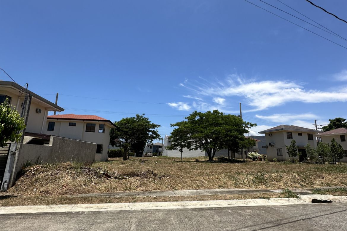Land for Sale in Canlubang, Calamba, Laguna – photo 4