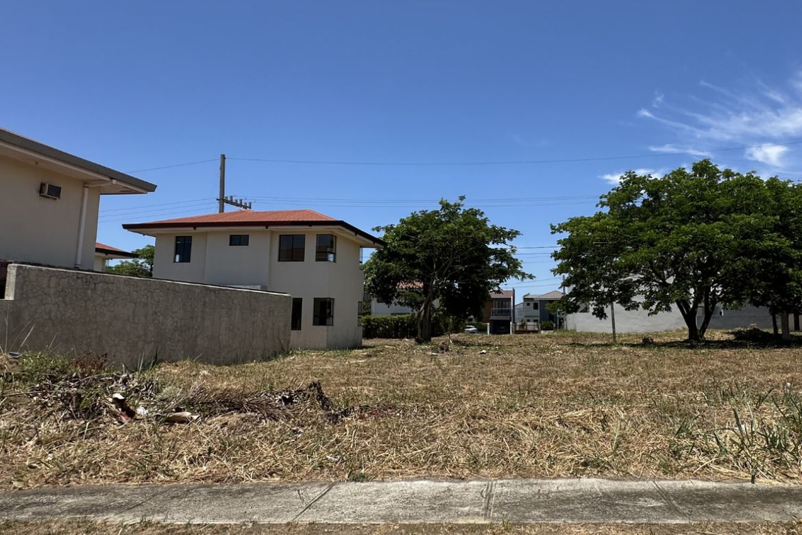 Land for Sale in Canlubang, Calamba, Laguna – photo 5
