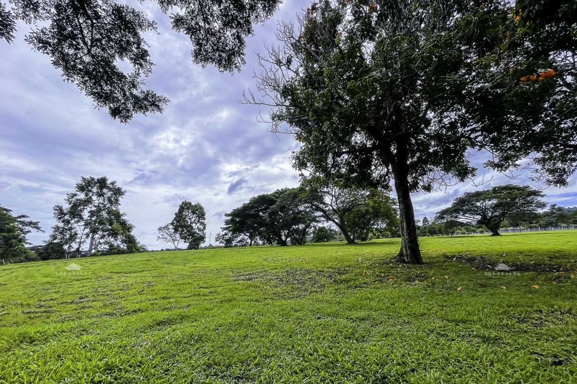 Land for Sale in Canlubang, Calamba, Laguna – photo 2