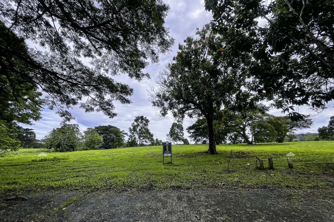 Land for Sale in Canlubang, Calamba, Laguna – photo 4