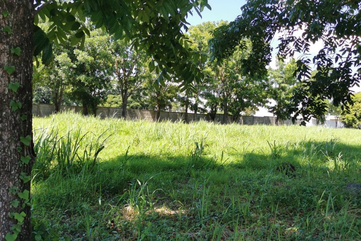 Land for Sale in Canlubang, Calamba, Laguna – photo 2