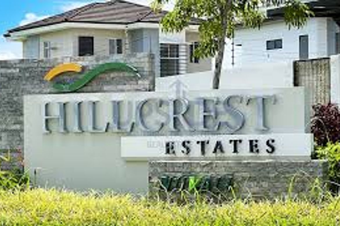 Land for Sale in Canlubang, Calamba, Laguna – photo 3