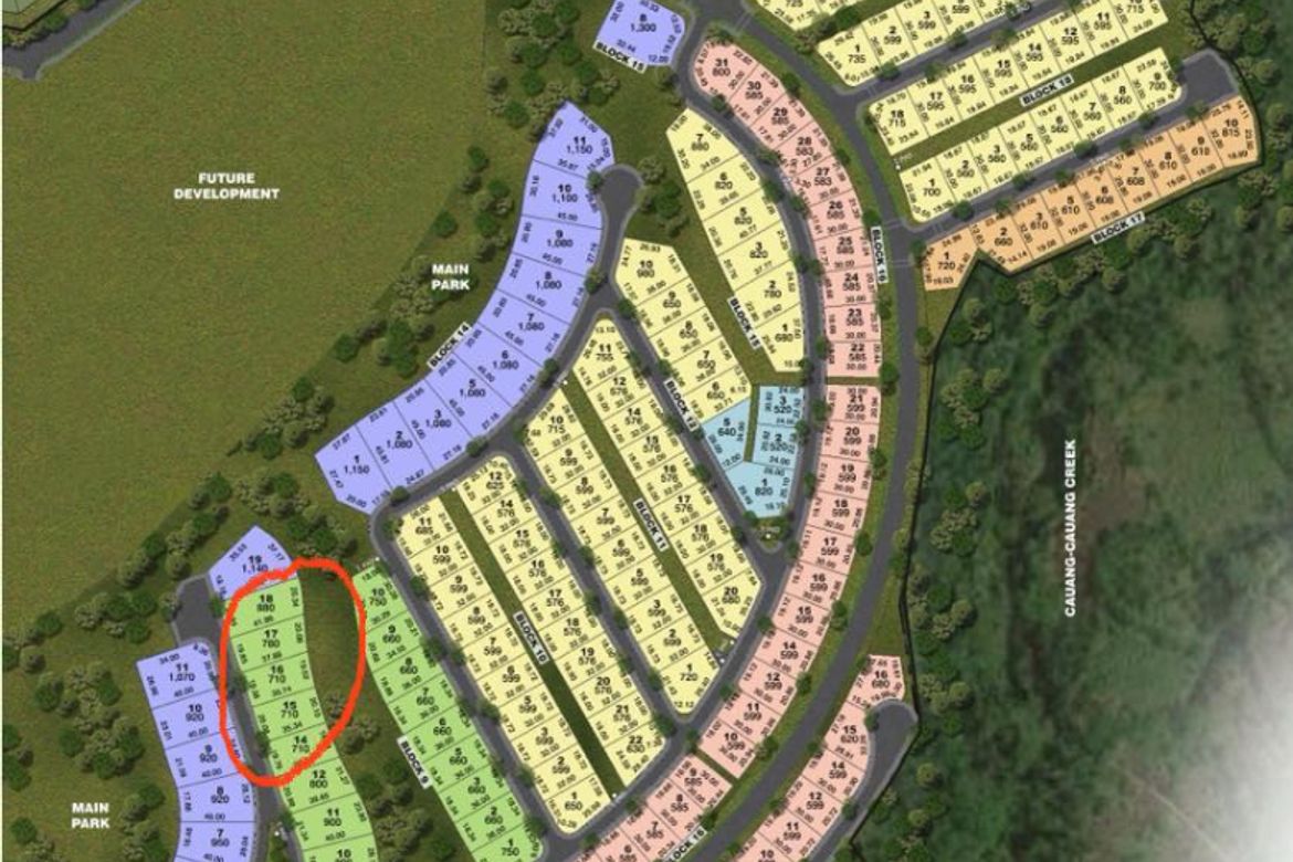 Land for Sale in Canlubang, Calamba, Laguna – photo 6