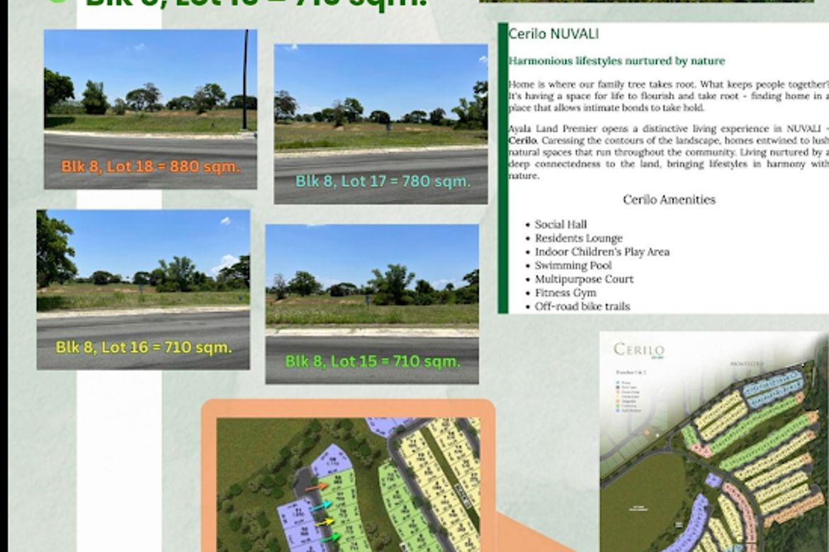Land for Sale in Canlubang, Calamba, Laguna – photo 7