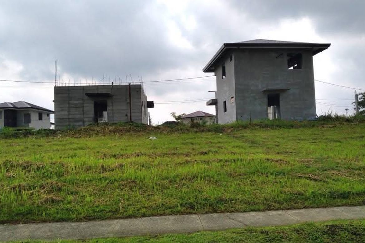 Land for Sale in Canlubang, Calamba, Laguna – photo 3