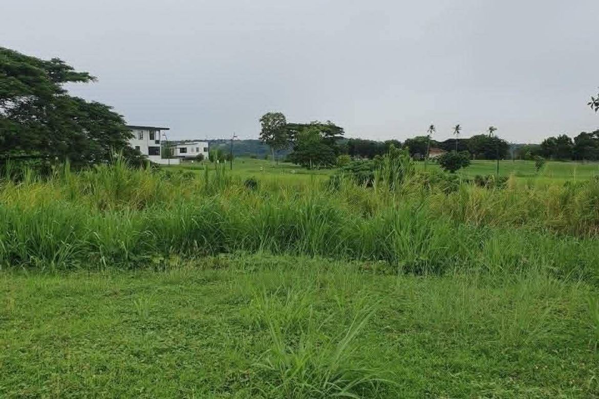 Land for Sale in Canlubang, Calamba, Laguna – photo 3