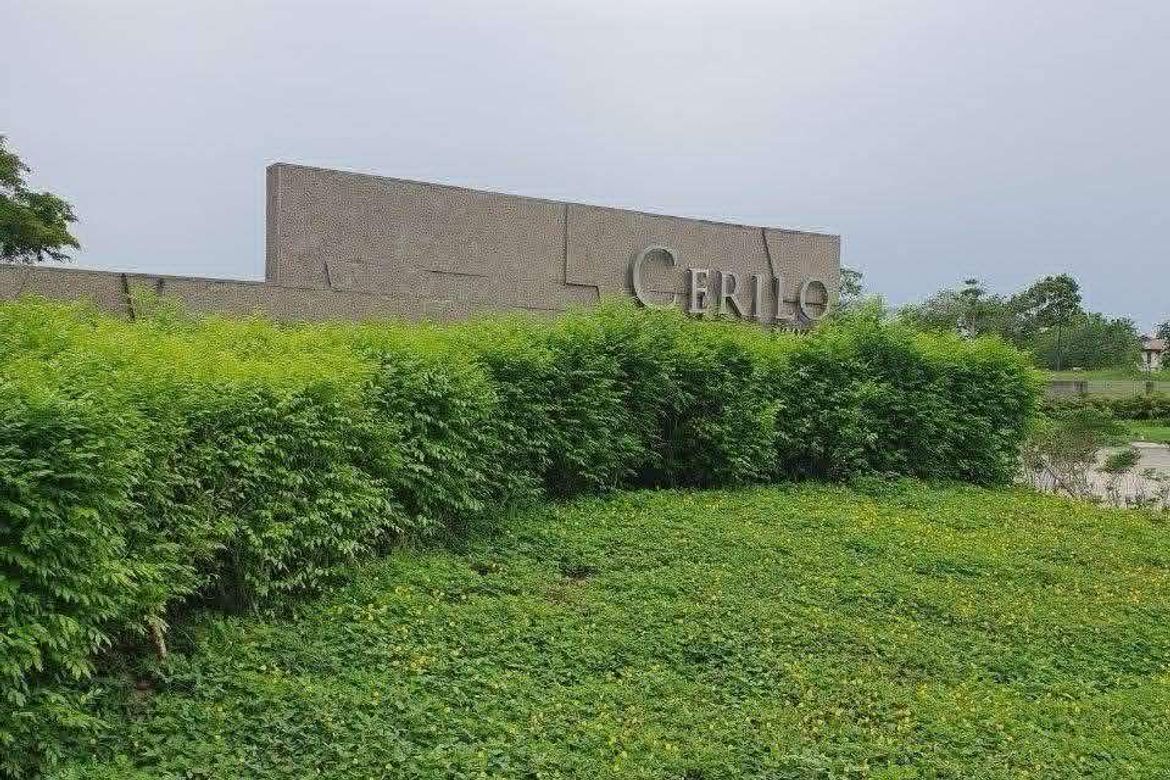 Land for Sale in Canlubang, Calamba, Laguna – photo 4