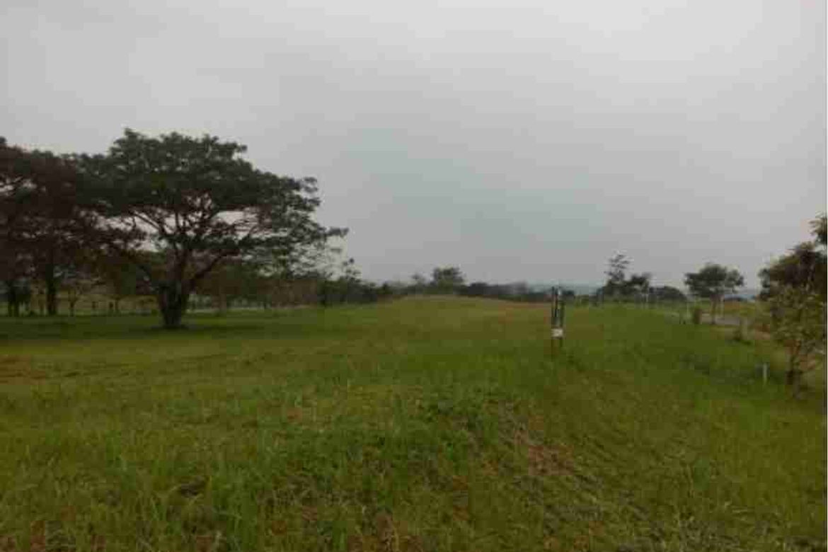 Land for Sale in Canlubang, Calamba, Laguna – photo 5