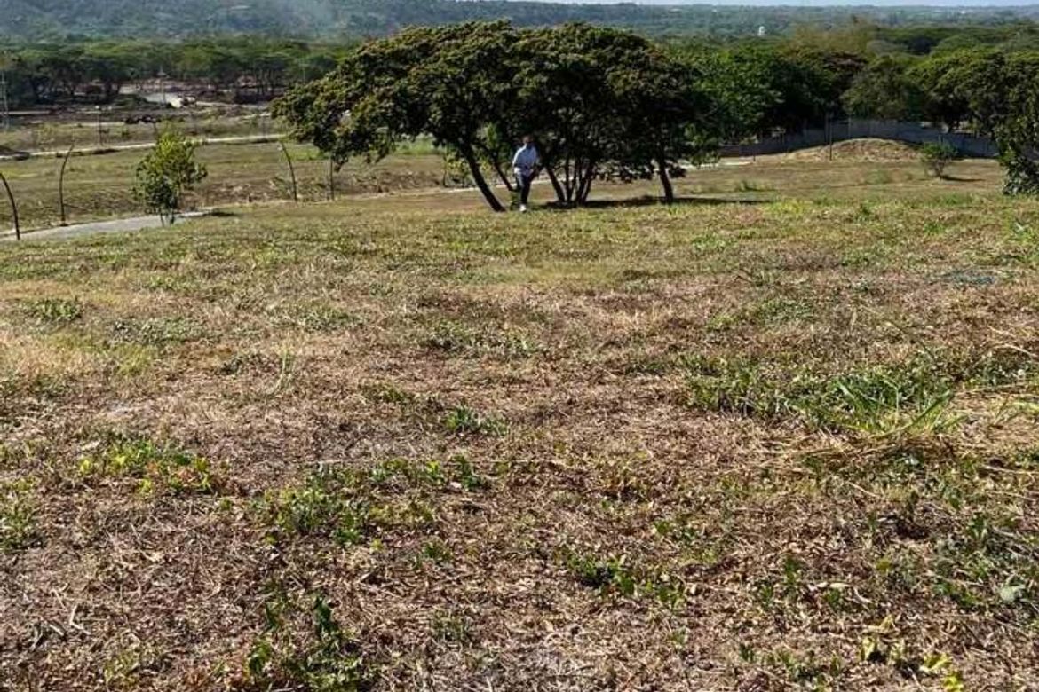 Land for Sale in Canlubang, Calamba, Laguna – photo 4