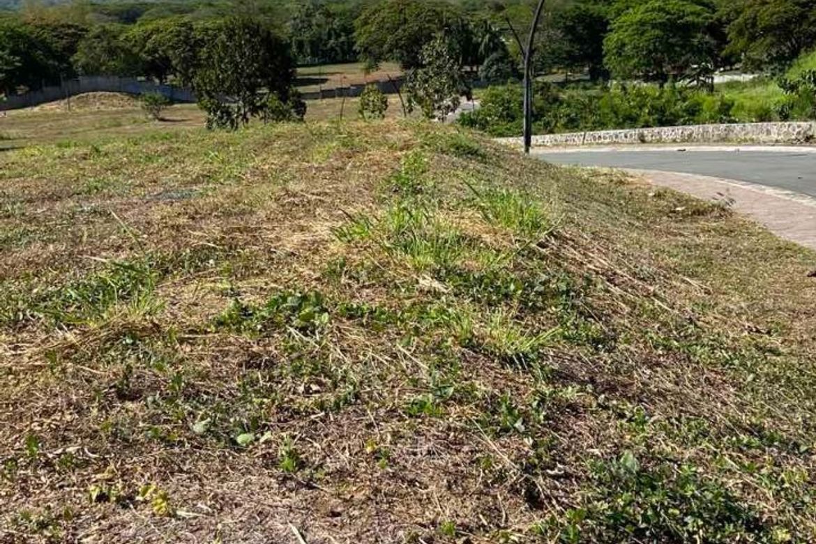 Land for Sale in Canlubang, Calamba, Laguna – photo 5