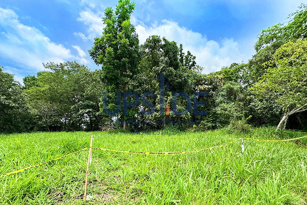 Land for Sale in Canlubang, Calamba, Laguna – photo 5