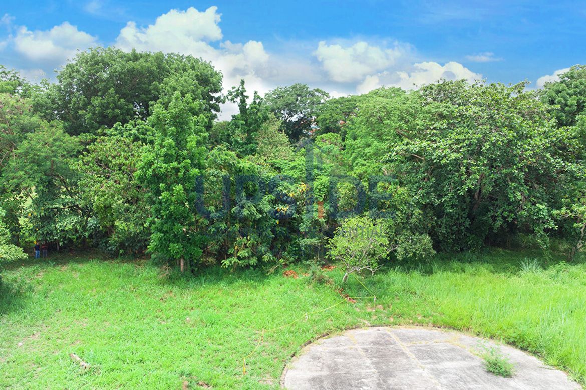 Land for Sale in Canlubang, Calamba, Laguna – photo 6
