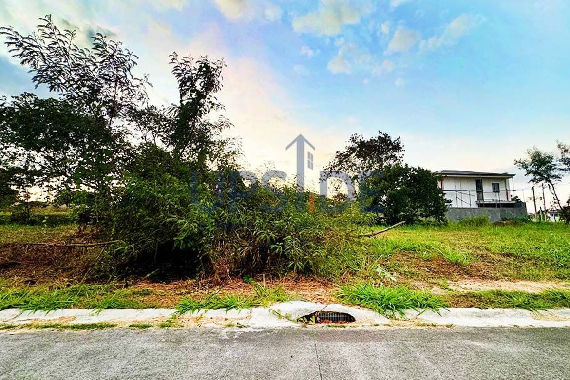 Land for Sale in Canlubang, Calamba, Laguna – photo 2
