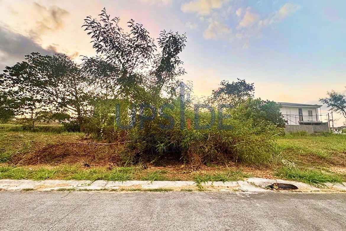 Land for Sale in Canlubang, Calamba, Laguna – photo 3