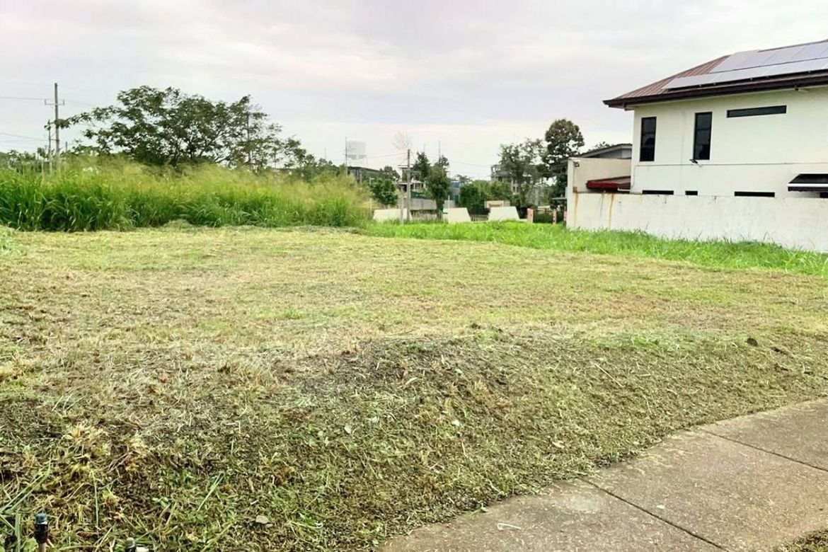 Land for Sale in Canlubang, Calamba, Laguna – photo 2