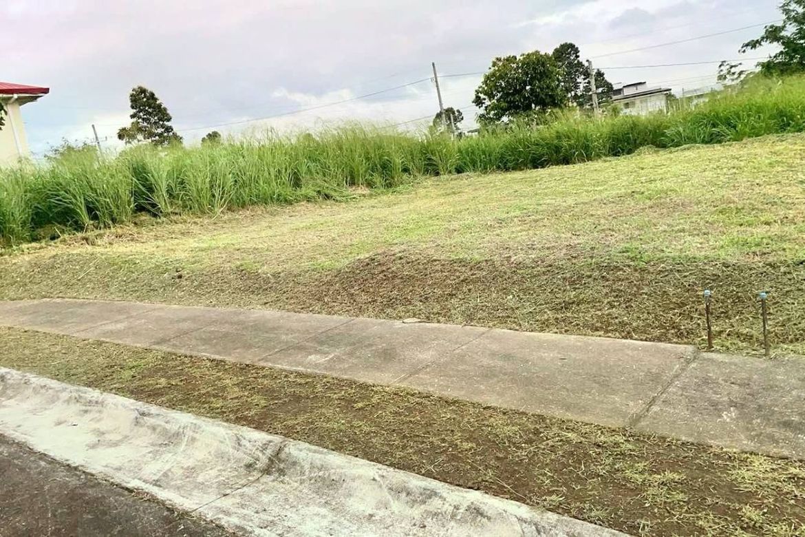 Land for Sale in Canlubang, Calamba, Laguna – photo 3