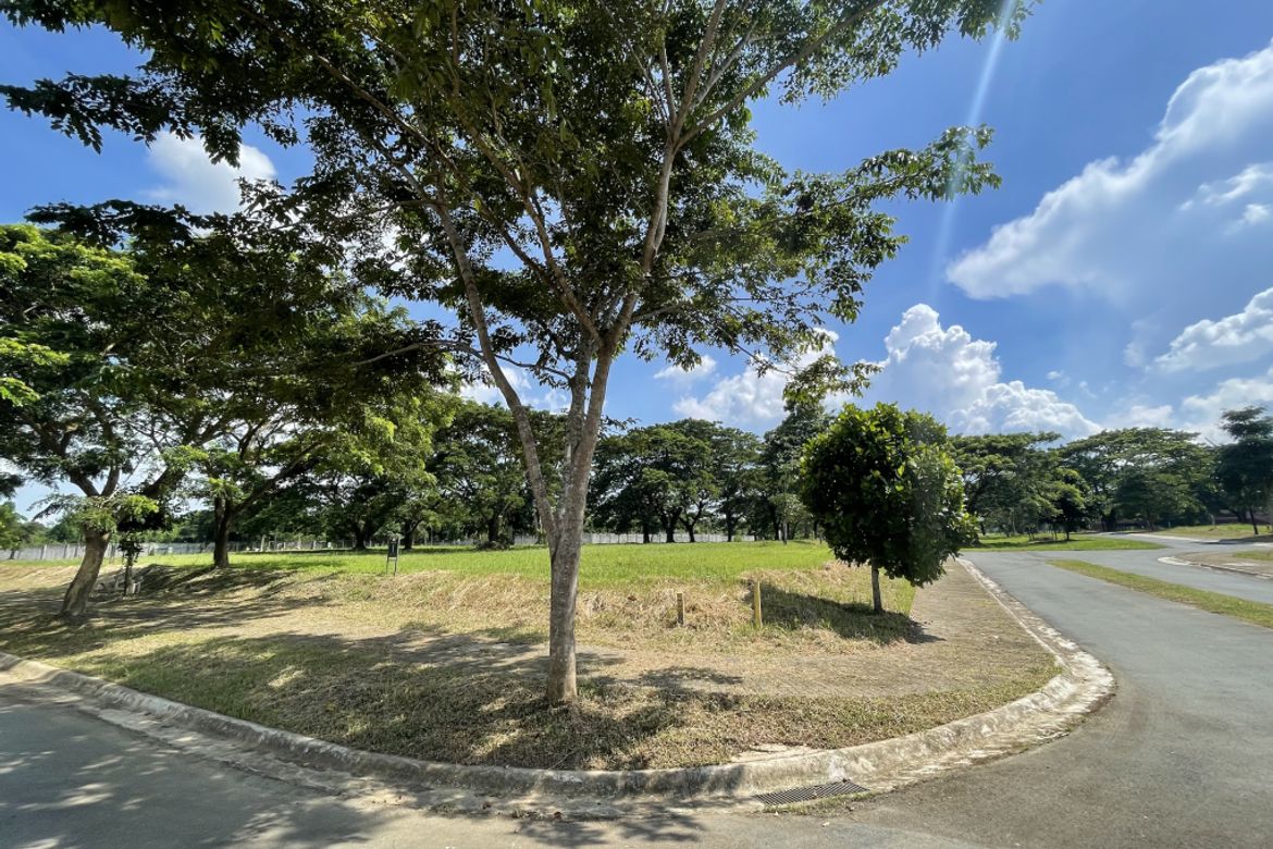 Land for Sale in Canlubang, Calamba, Laguna – photo 2