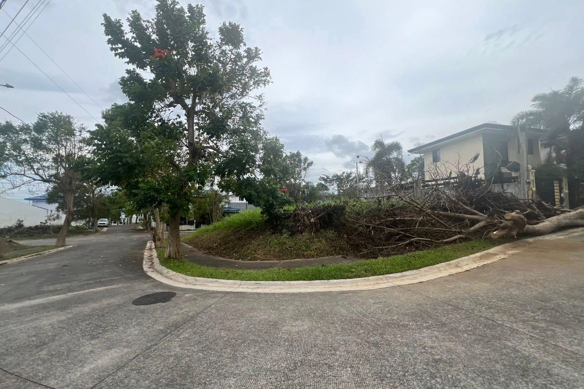 Land for Sale in Canlubang, Calamba, Laguna – photo 2