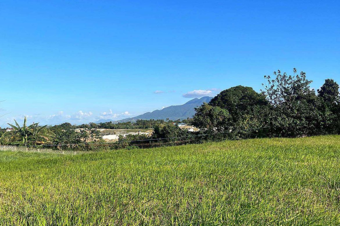 Land for Sale in Canlubang, Calamba, Laguna