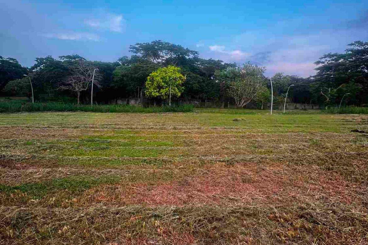 Land for Sale in Canlubang, Calamba, Laguna