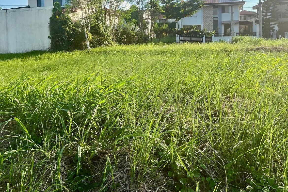 Land for Sale in Canlubang, Calamba, Laguna – photo 4