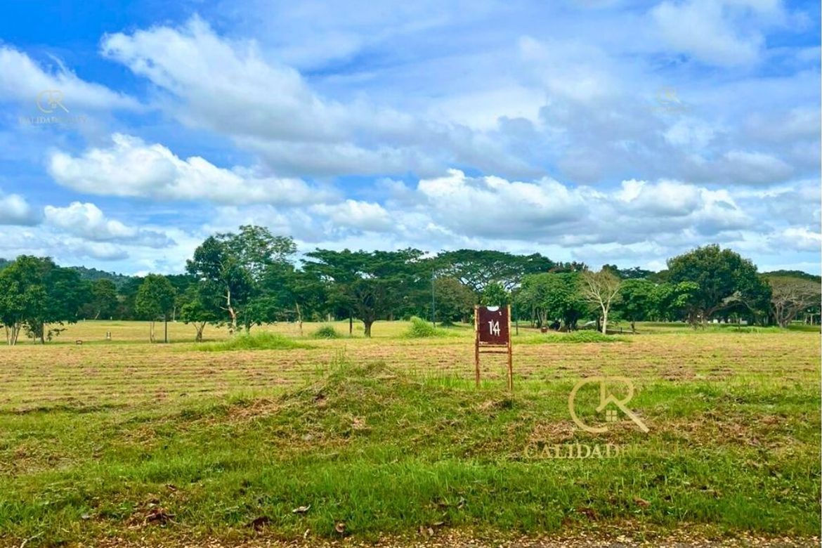 Land for Sale in Canlubang, Calamba, Laguna – photo 4