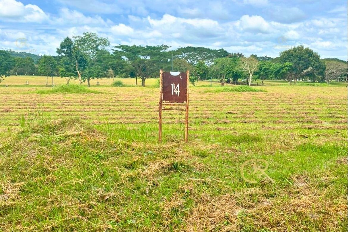 Land for Sale in Canlubang, Calamba, Laguna – photo 5