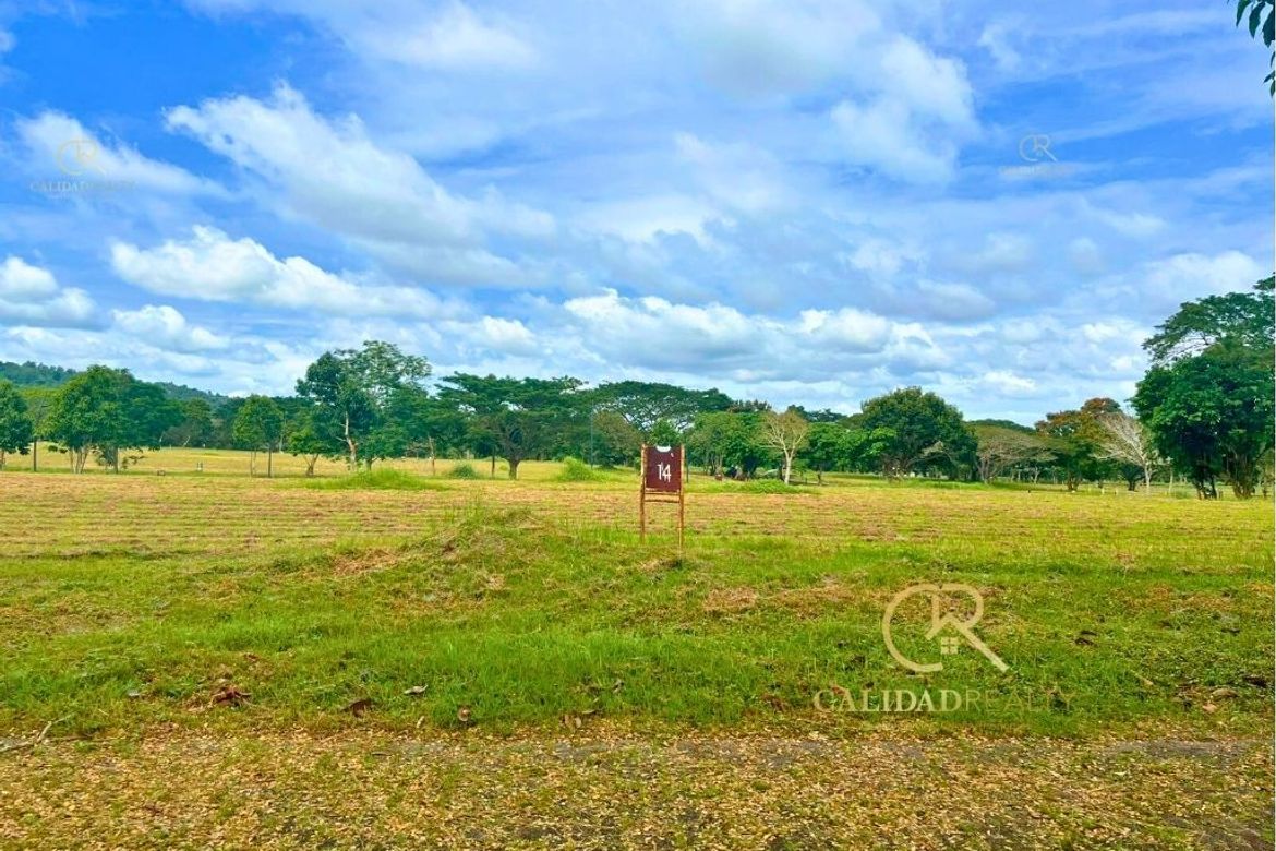 Land for Sale in Canlubang, Calamba, Laguna – photo 7