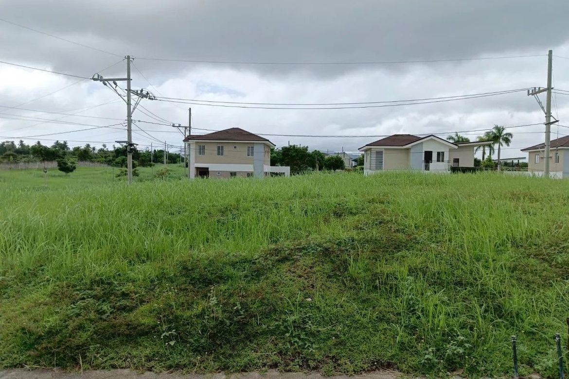 Land for Sale in Canlubang, Calamba, Laguna – photo 2