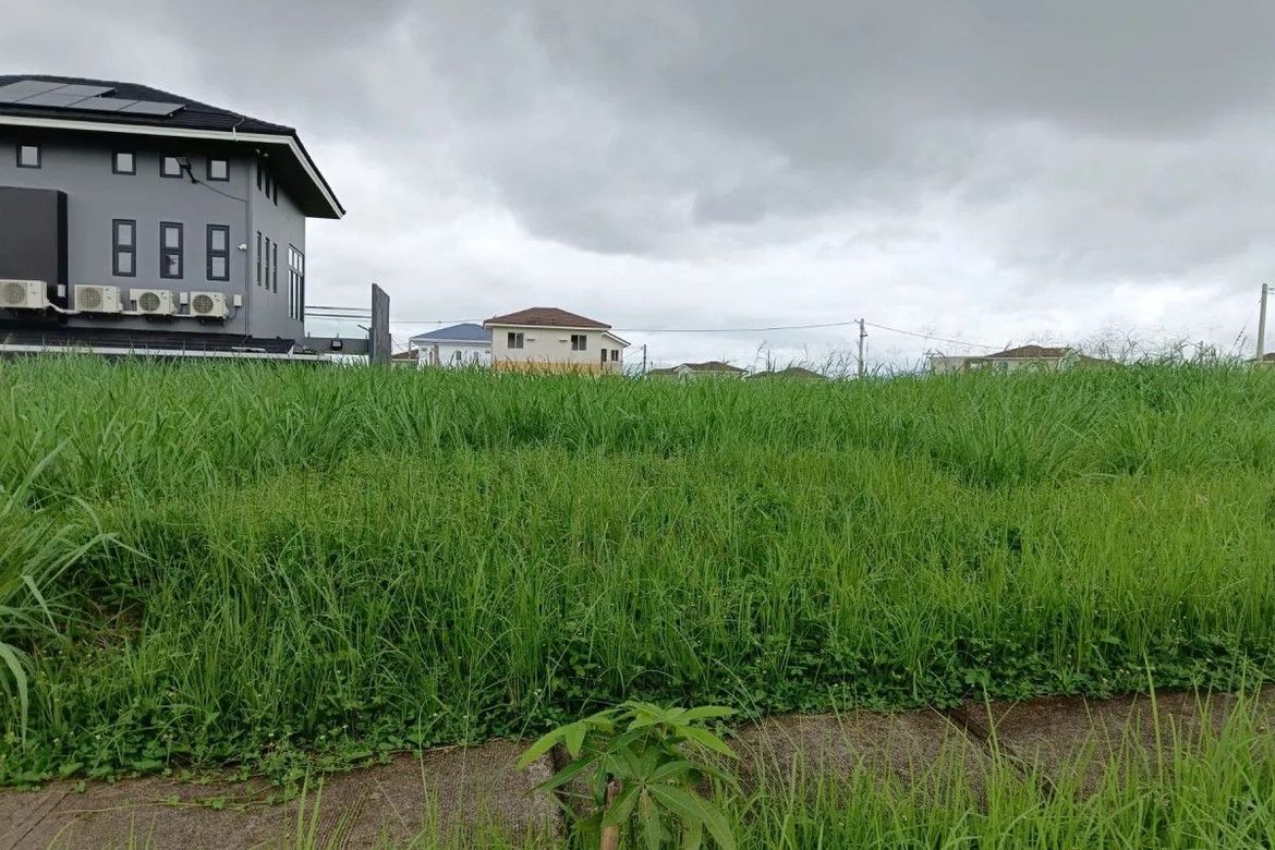 Land for Sale in Canlubang, Calamba, Laguna – photo 3