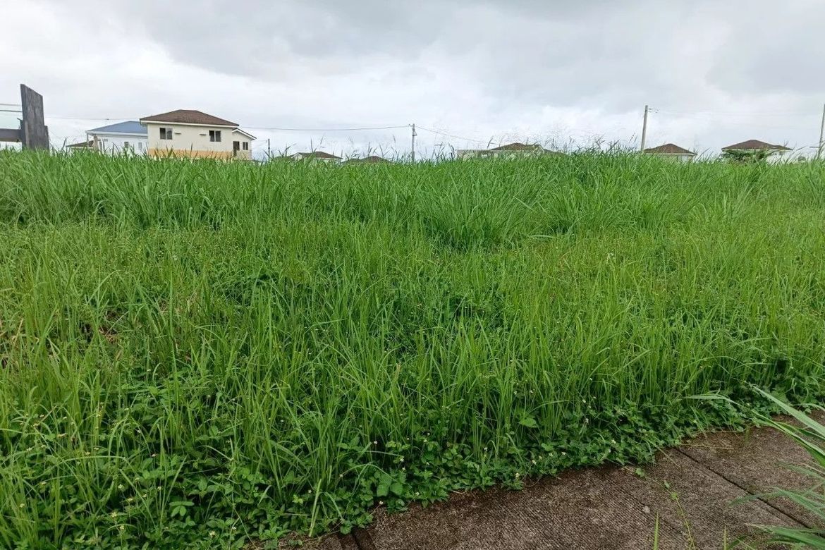 Land for Sale in Canlubang, Calamba, Laguna – photo 4