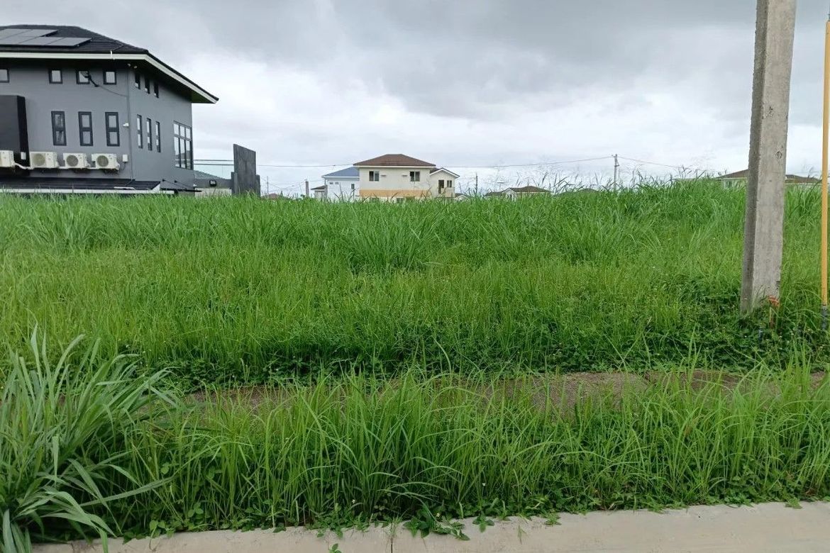 Land for Sale in Canlubang, Calamba, Laguna – photo 6