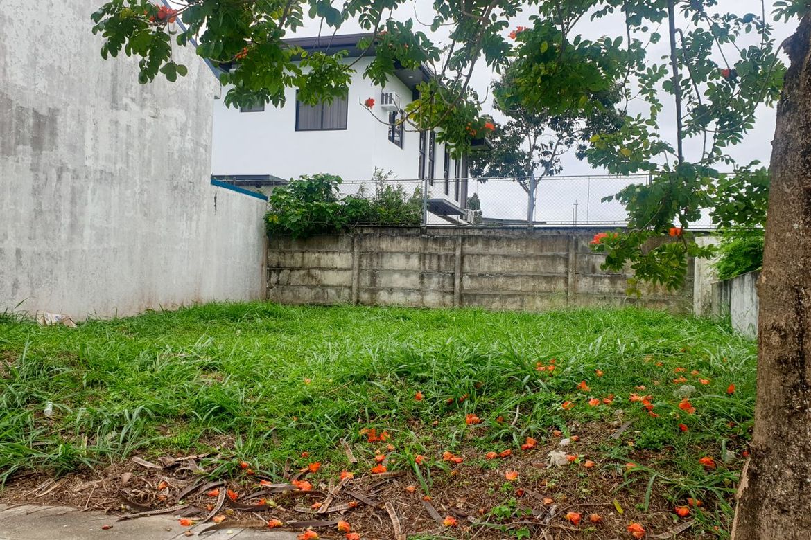 Land for Sale in Canlubang, Calamba, Laguna – photo 2