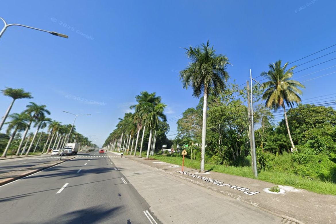 Land for Sale in Canocotan, Tagum, Davao del Norte – photo 4