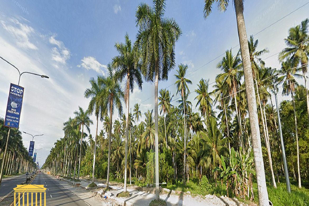 Land for Sale in Canocotan, Tagum, Davao del Norte – photo 2