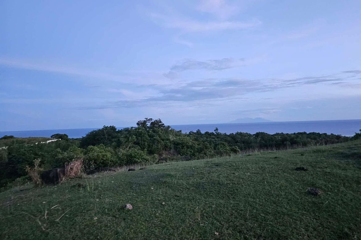 Land for Sale in Cansiwang, Guindulman, Bohol – photo 2