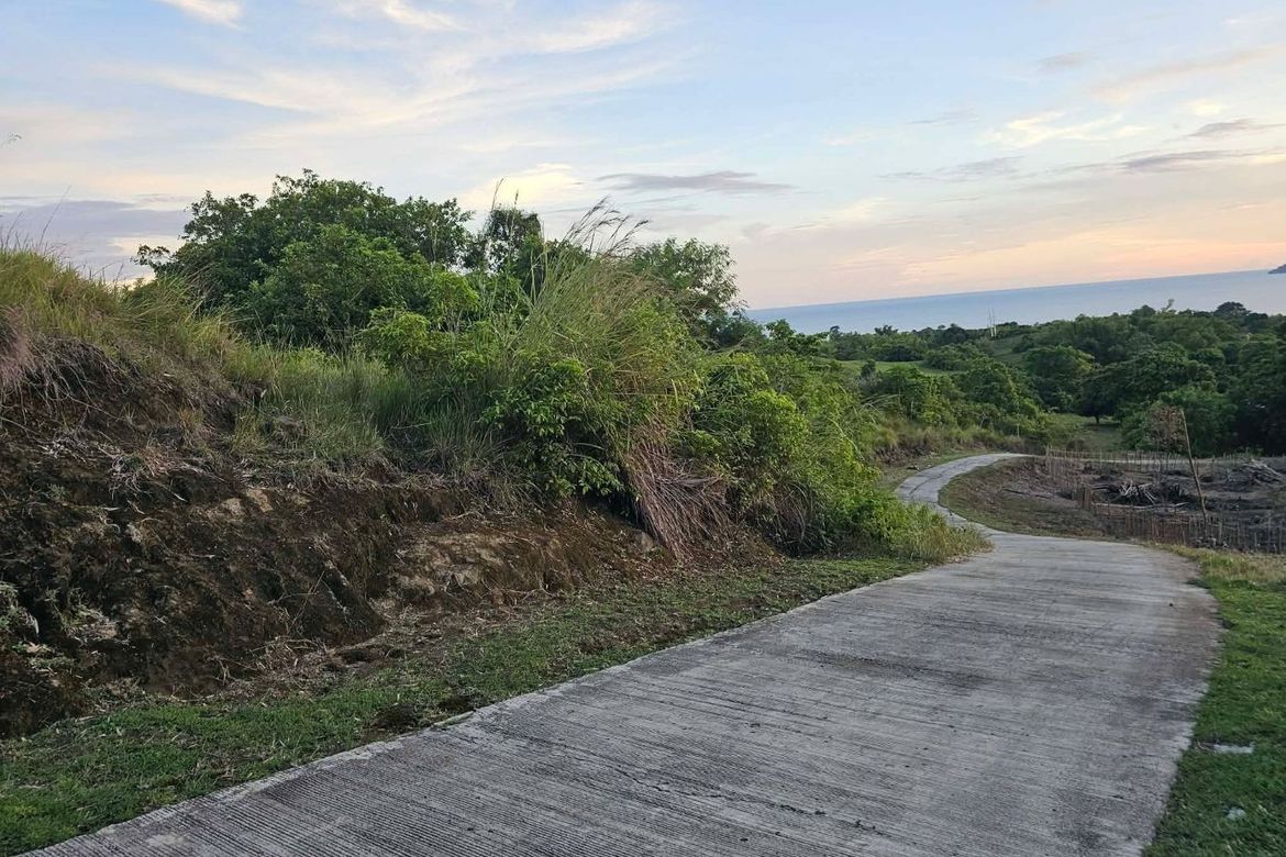 Land for Sale in Cansiwang, Guindulman, Bohol – photo 4
