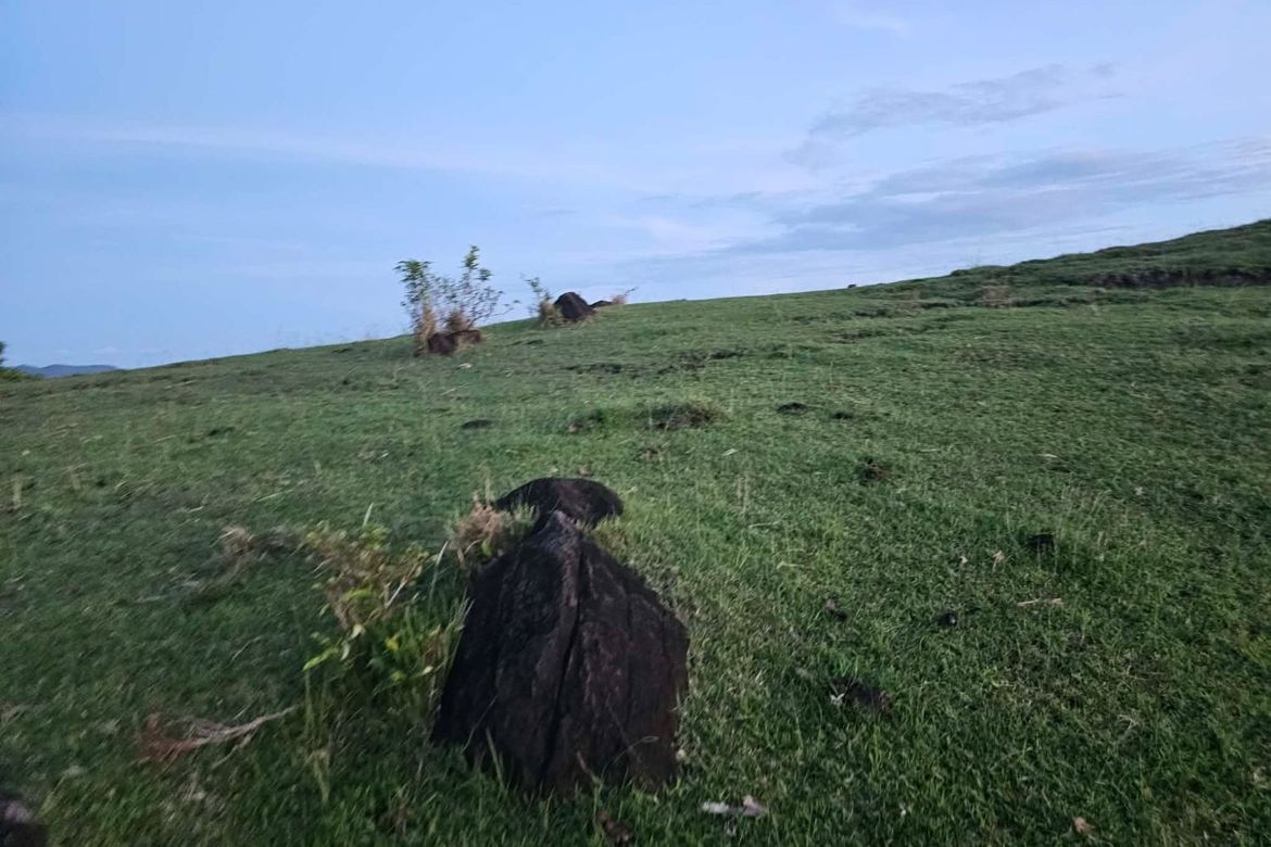 Land for Sale in Cansiwang, Guindulman, Bohol – photo 5