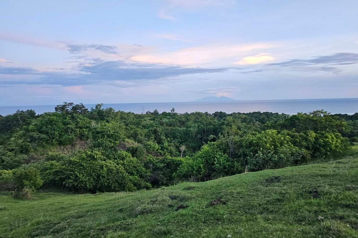 Land for Sale in Cansiwang, Guindulman, Bohol – photo 7