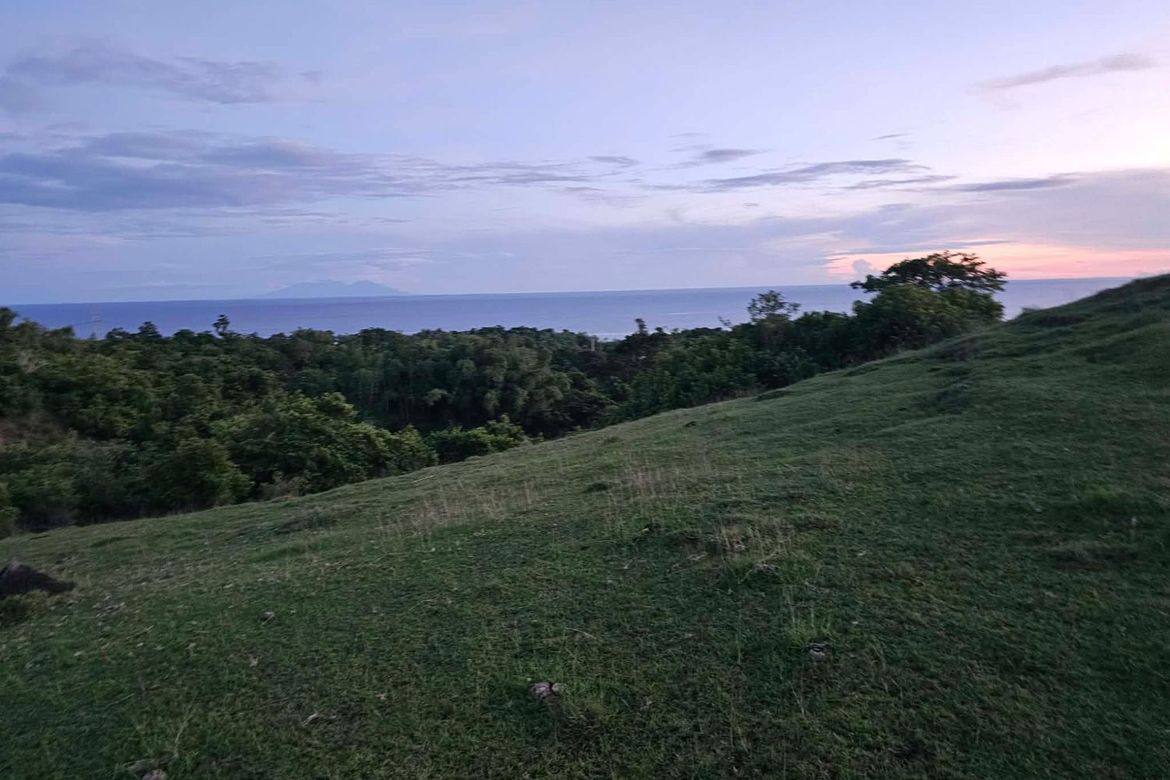 Land for Sale in Cansiwang, Guindulman, Bohol – photo 8